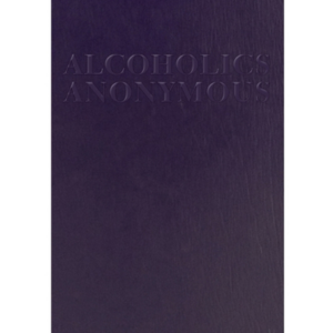 B-24 - BIG BOOK (Abridged/Large Print)