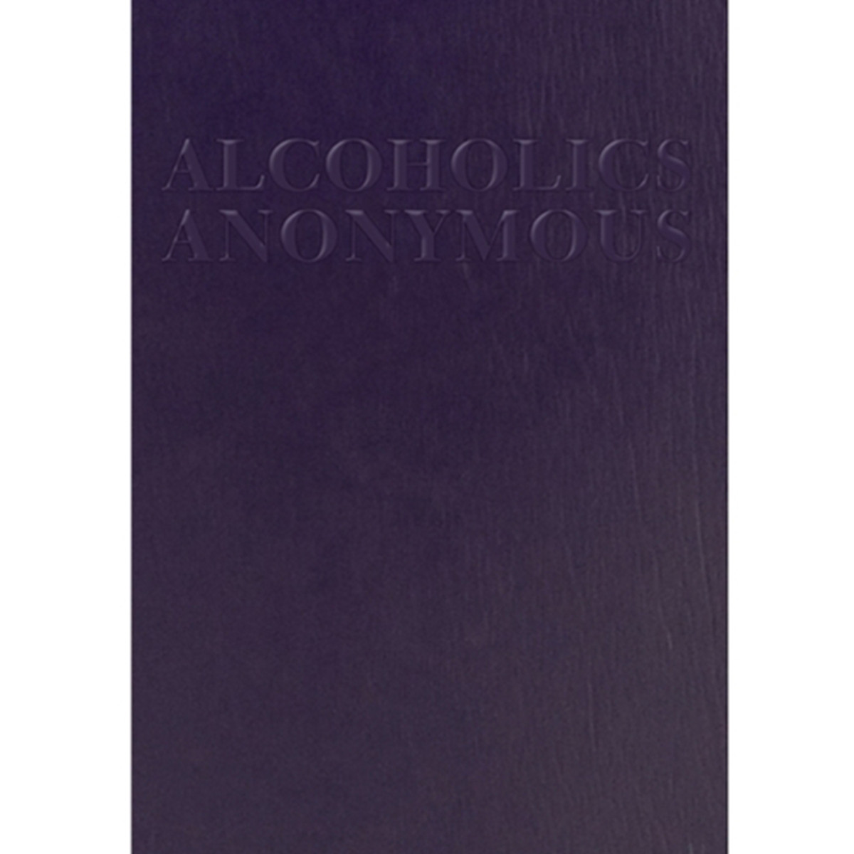 B-24 - BIG BOOK (Abridged/Large Print)